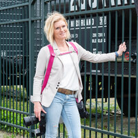 Camera harness - Pink